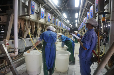 鐘山溫氏乳業(yè) 以生態(tài)養(yǎng)殖實(shí)現(xiàn)農(nóng)經(jīng)與環(huán)保的雙贏之道